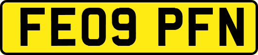 FE09PFN
