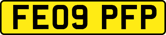 FE09PFP