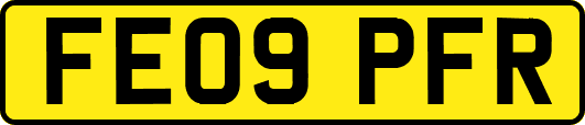 FE09PFR