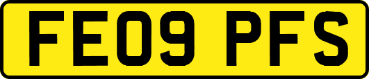 FE09PFS
