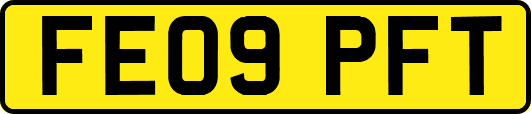 FE09PFT