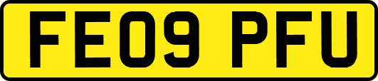 FE09PFU