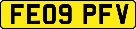 FE09PFV