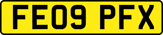 FE09PFX