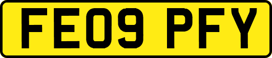 FE09PFY