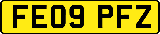 FE09PFZ