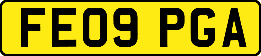 FE09PGA