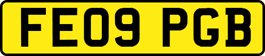 FE09PGB