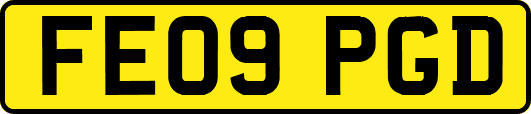 FE09PGD