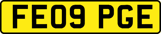FE09PGE