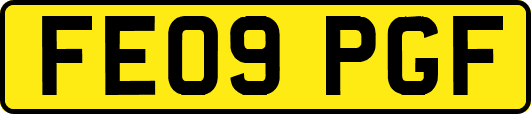 FE09PGF