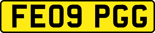 FE09PGG