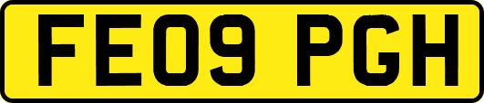FE09PGH
