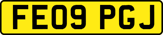 FE09PGJ