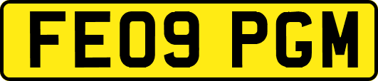 FE09PGM