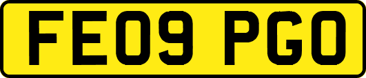 FE09PGO