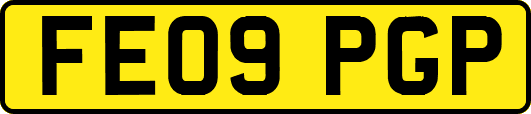 FE09PGP