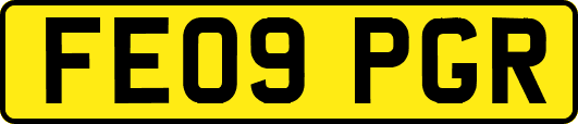 FE09PGR