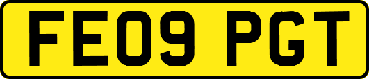 FE09PGT