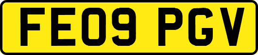 FE09PGV