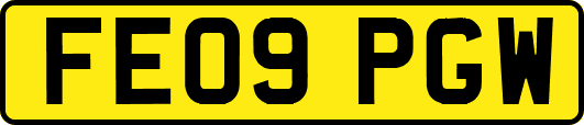 FE09PGW