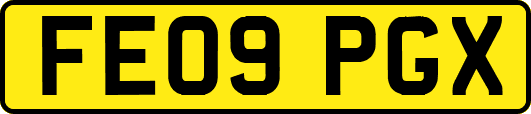 FE09PGX