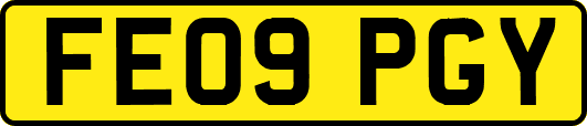 FE09PGY