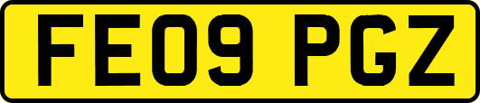 FE09PGZ