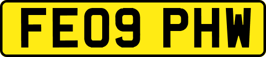FE09PHW