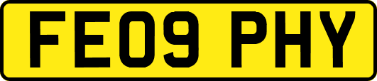 FE09PHY