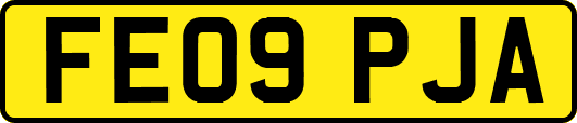 FE09PJA