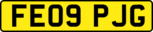 FE09PJG