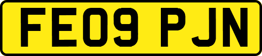 FE09PJN