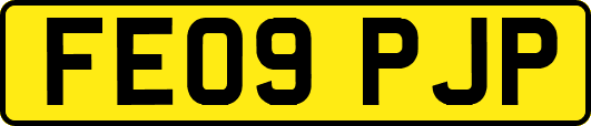 FE09PJP