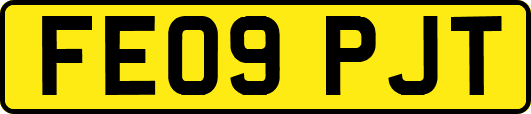 FE09PJT