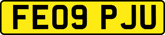 FE09PJU