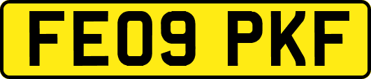 FE09PKF