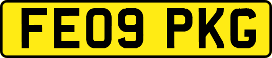 FE09PKG
