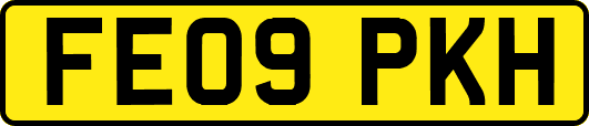 FE09PKH