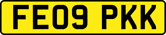 FE09PKK