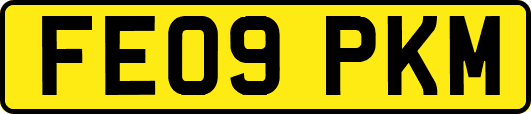 FE09PKM