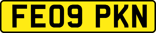 FE09PKN