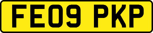 FE09PKP