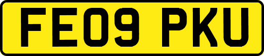 FE09PKU