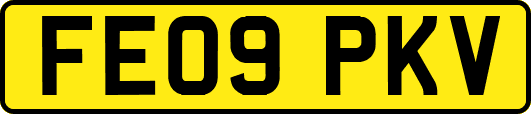 FE09PKV