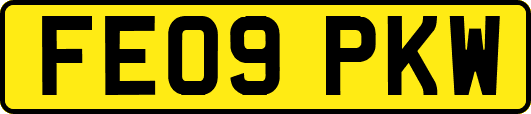 FE09PKW