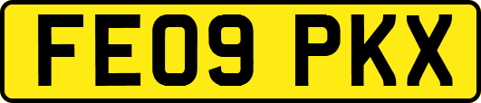 FE09PKX