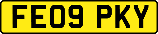 FE09PKY