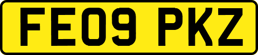 FE09PKZ
