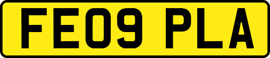 FE09PLA